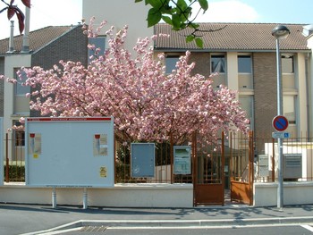 Bibliothèqure municipale de Houilles