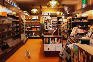 Librairie Folies d'encre