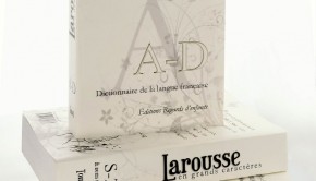 Le dictionnaire Larousse en grands caractères