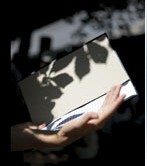 Lectures sous l'arbre