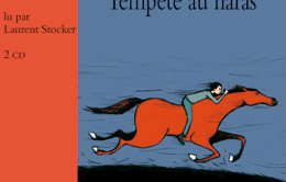 Tempête au haras
