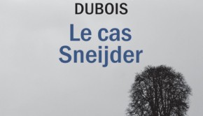 Le cas Sneidjer