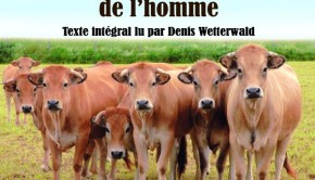 dernières nouvelles de l'homme