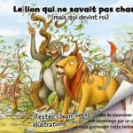 Le lion qui ne savait pas chasser